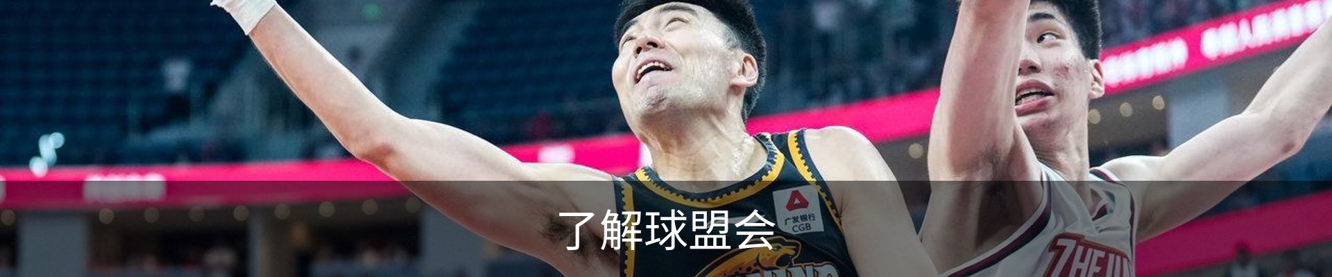 了解球盟会